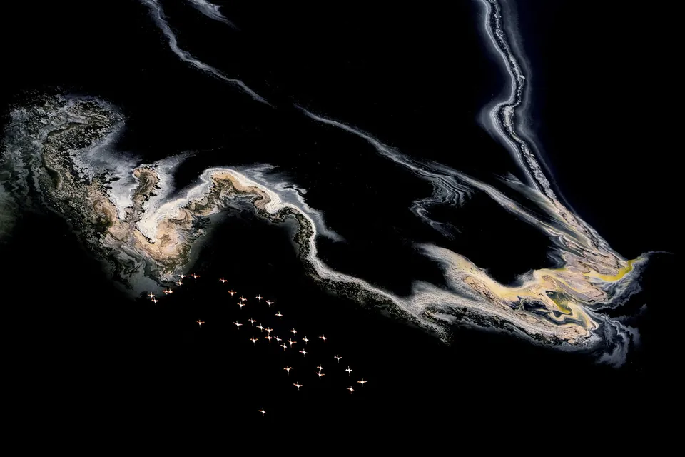 Flying across flowing gold, de Ningtai Yu