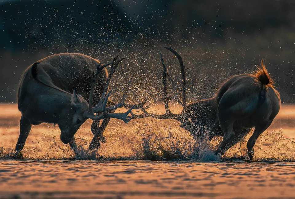 Two Powerful Forces Are in Conflict, by Jian Hu