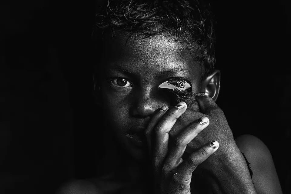 Shared Vision, by Sanghamitra Sarkar