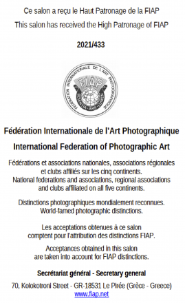 federacion-internacionale-de-lart-photographique-06 federacion-internacionale-de-lart-photographique-06